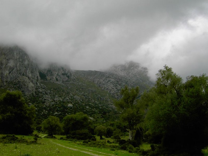 100324_Sattel_zum_Tomir.jpg - Mallorca-Wanderungen - 24.03.2010 Cuculla de Fartaritx  vom Fartàritx Gran - Coll del Puig de Ca  