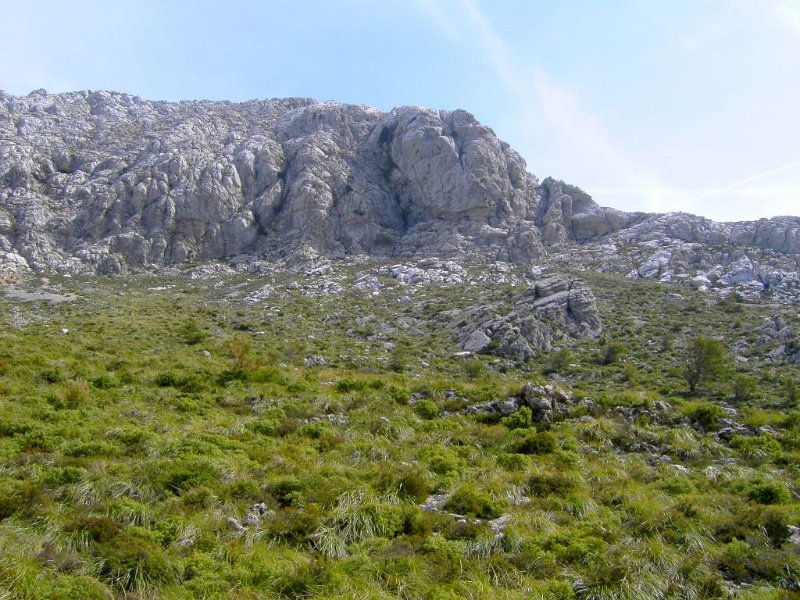 100325_Einstieg_Massanella.jpg - Mallorca-Wanderungen - 25.03.2010 Massanella  vom GR 221 - Einstieg Massanella  