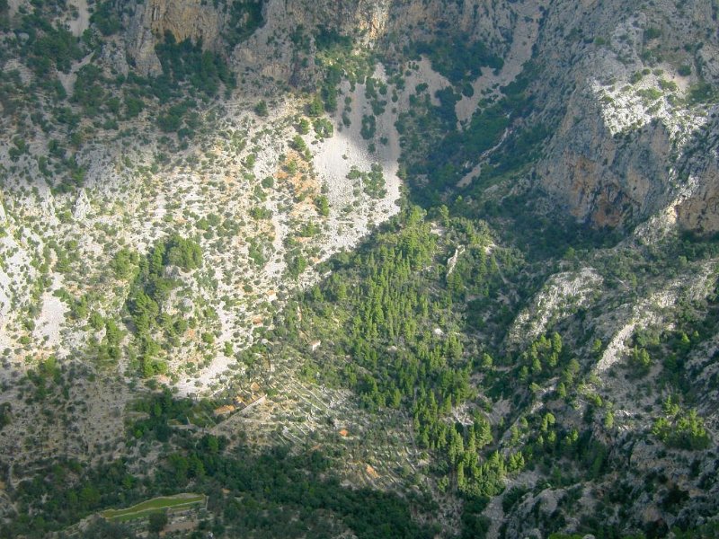101018_Aufstieg_Biniaraix.jpg - Mallorca-Wanderungen - 18.10.2010 Biniaraix  vom Gipfel Cosconar - Aufstieg ???