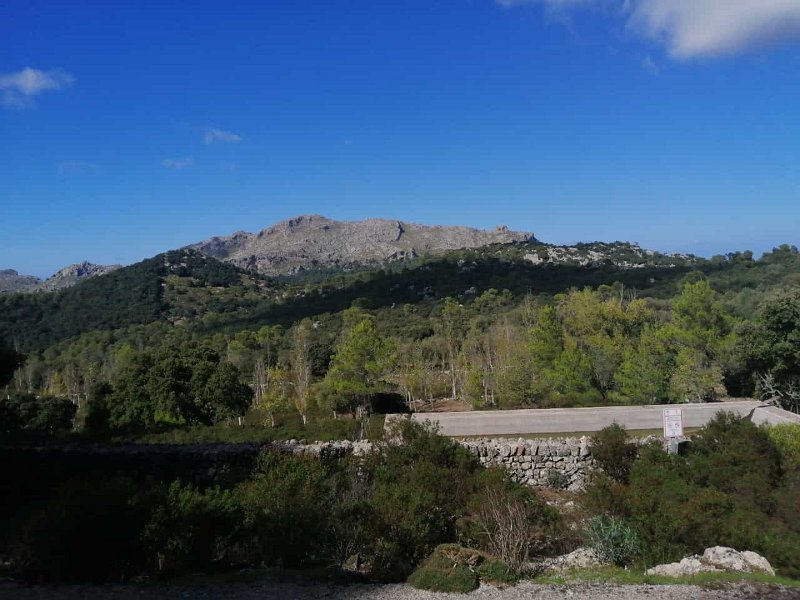 IMG-20211008-WA0009.jpg - Mallorca-Wanderungen - 08.10.2021 Marc-Tal nach Menut  vom Anstieg: Puig Roig