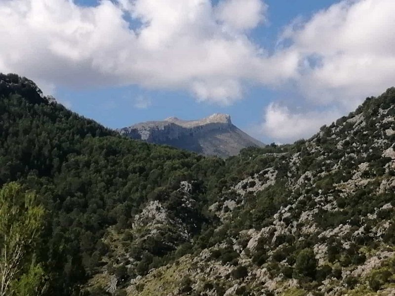 IMG-20211009-WA0005.jpg - Mallorca-Wanderungen - 09.10.2021 Menut über Aucanella nach Coll de sa Batalla (510 Hm, 25k)  vom Cami de sa Coma Llarga