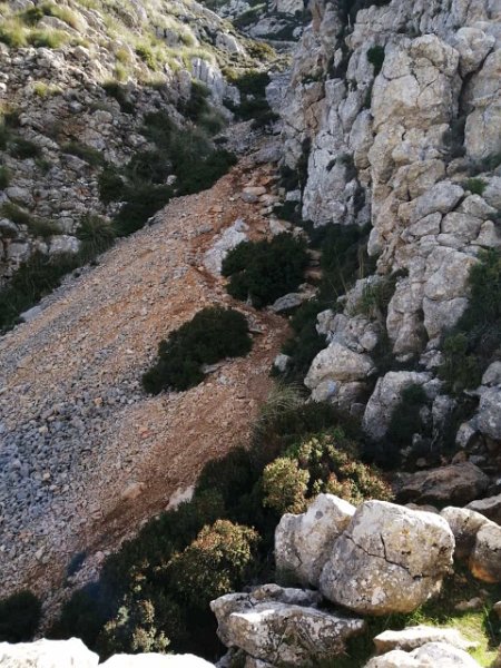IMG-20211011-WA0003.jpg - Mallorca-Wanderungen - 11.10.2021 Menut zum Tomir  hier geht es rauf