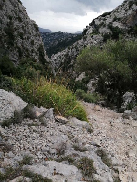 IMG-20211013-WA0005.jpg - Mallorca-Wanderungen - 13.10.2021 Rundwanderung um Tossals Verds  Blick in die Schlucht