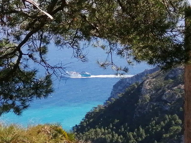 IMG-20211014-WA0011.jpg - Mallorca-Wanderungen - 14.10.2021 Talaia d' Alcúdia  vom Gipfel: Balearia auf Tour  