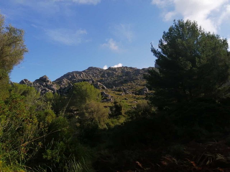IMG-20211017-WA0001.jpg - Mallorca-Wanderungen - 17.10.2021 Mortitx (350 Hm, 18k)  Vermutliche Übernachtungsstelle 