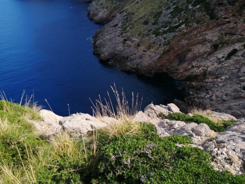 IMG-20211017-WA0007.jpg - Mallorca-Wanderungen - 17.10.2021 Mortitx   Bucht bei der Hexenhöhle