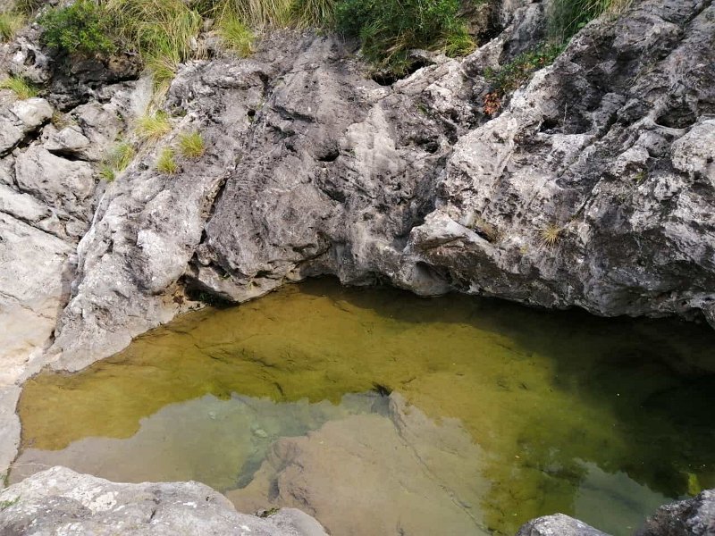 IMG-20211017-WA0011.jpg - Mallorca-Wanderungen - 17.10.2021 Mortitx   Gumpen beim Aufstieg in der Schlucht