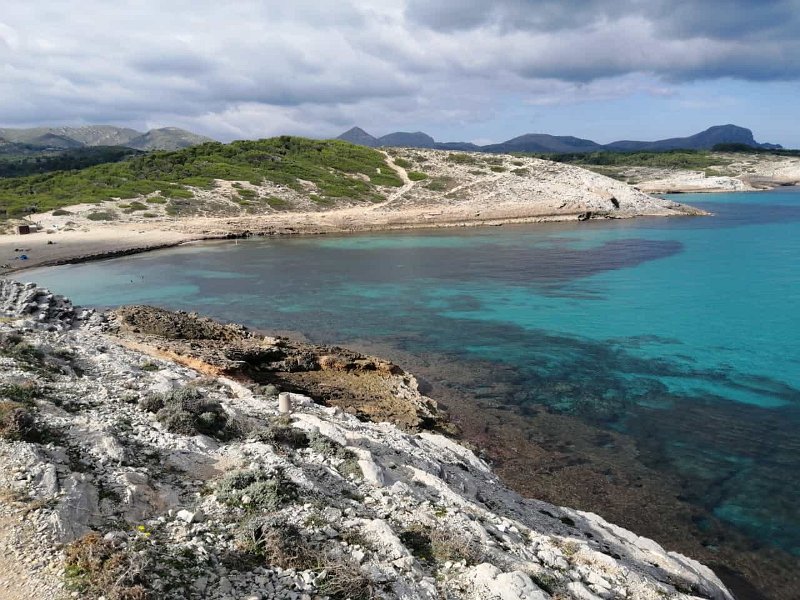 IMG-20211019-WA0005.jpg - Mallorca-Wanderungen - 19.10.2021 Küstenwanderung Cala Mesquida   Cala Torta