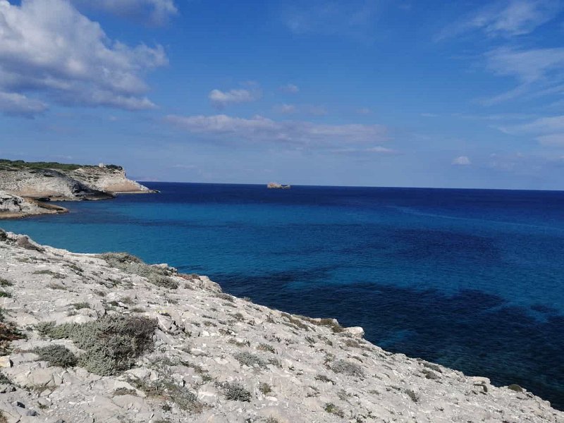 IMG-20211019-WA0007.jpg - Mallorca-Wanderungen - 19.10.2021 Küstenwanderung Cala Mesquida   Felseninsel vor dem Beobachtungspunkt Torre d' Aubarca