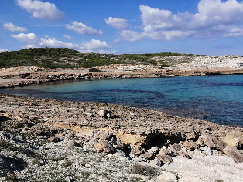 IMG-20211019-WA0009.jpg - Mallorca-Wanderungen - 19.10.2021 Küstenwanderung Cala Mesquida   Cala Mitjana
