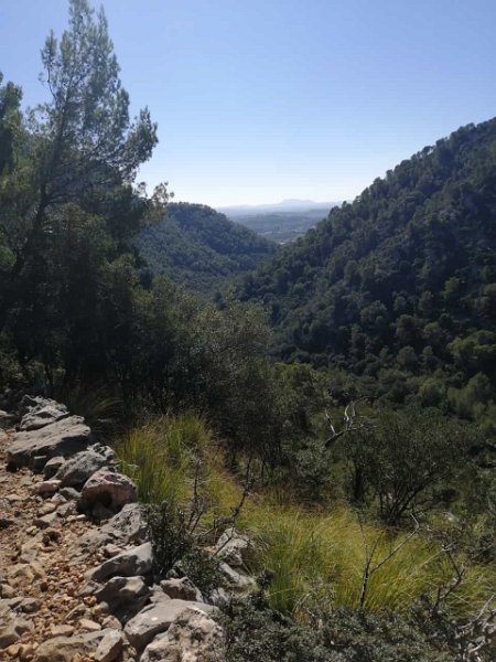 IMG-20211020-WA0001.jpg - Mallorca-Wanderungen - 20.10.2021 Batalla-Caimari (540 Hm, 30k)   Blick in die tiefe Schlucht