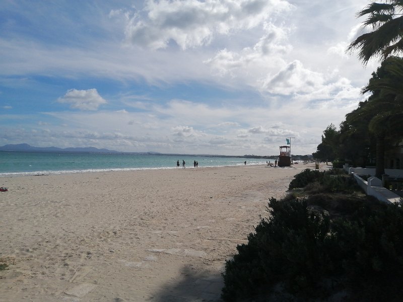 IMG-20211026-WA0002.jpeg - Mallorca-Wanderungen - 26.10.2021 S' Oberta   Strand von Port d' Alcudia: heute grüne Fahne  