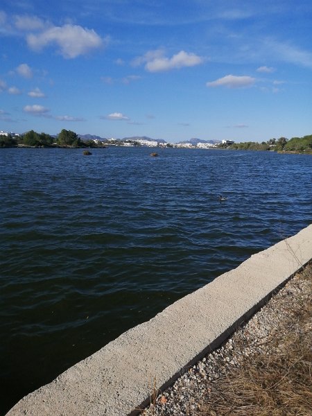 IMG-20211026-WA0014.jpeg - Mallorca-Wanderungen - 26.10.2021 S' Oberta   in Platja de Muro: See l' Estany Gran 