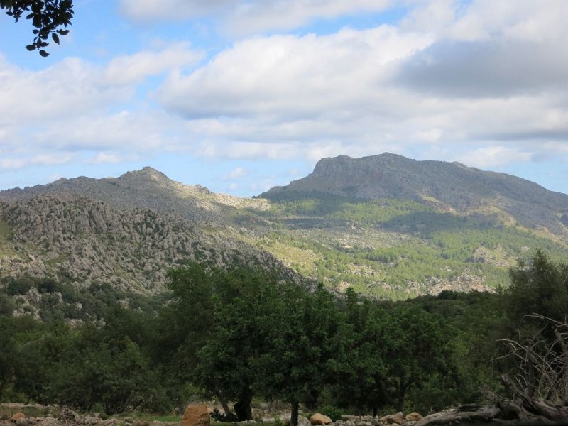 IMG_1353.JPG - Mallorca-Wanderungen - 08.10.2021 Marc-Tal nach Menut  vom Anstieg: Tomir 