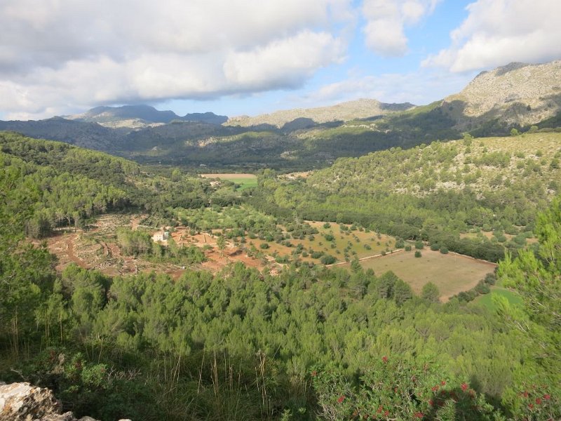 IMG_1354.JPG - Mallorca-Wanderungen - 10.10.2021 Marc-Tal nach Fartaritx  (510Hm, 25k)  vom Aufstieg: Varitx (gerodet und Terrassen freigelegt)