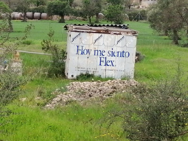220323_Flex.jpg - Mallorca-Wanderungen - 23.03.2022 Albufereta (30 Hm, 19k)  Container mit der Aufschrift "Heute fühle ich mich Flex"
