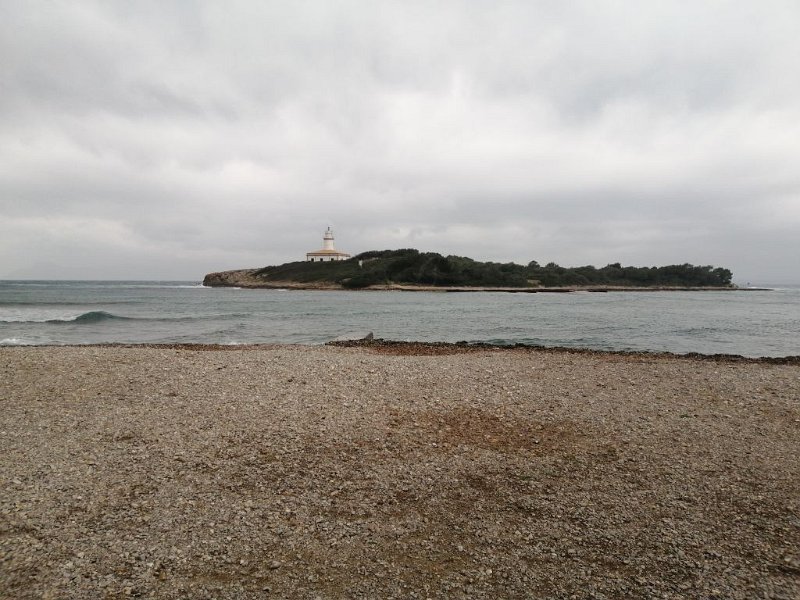 220326_Insel.jpg - Mallorca-Wanderungen - 26.03.2022 Alcanada (60 Hm, 16k)  Insel Alcanada