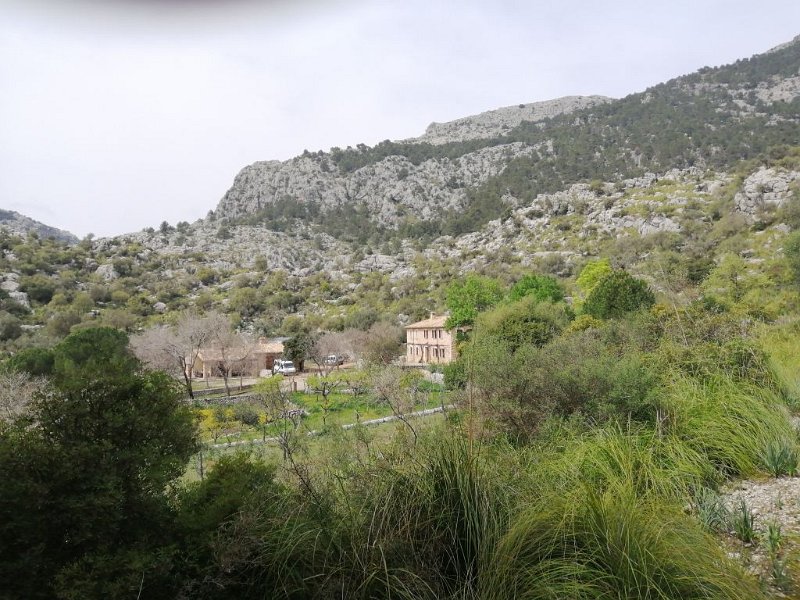 220327_Refugi.jpg - Mallorca-Wanderungen - 27.03.2022 Tossals Verds (450 Hm, 24k)  Refugi vom Rückweg über Pica de Garrover