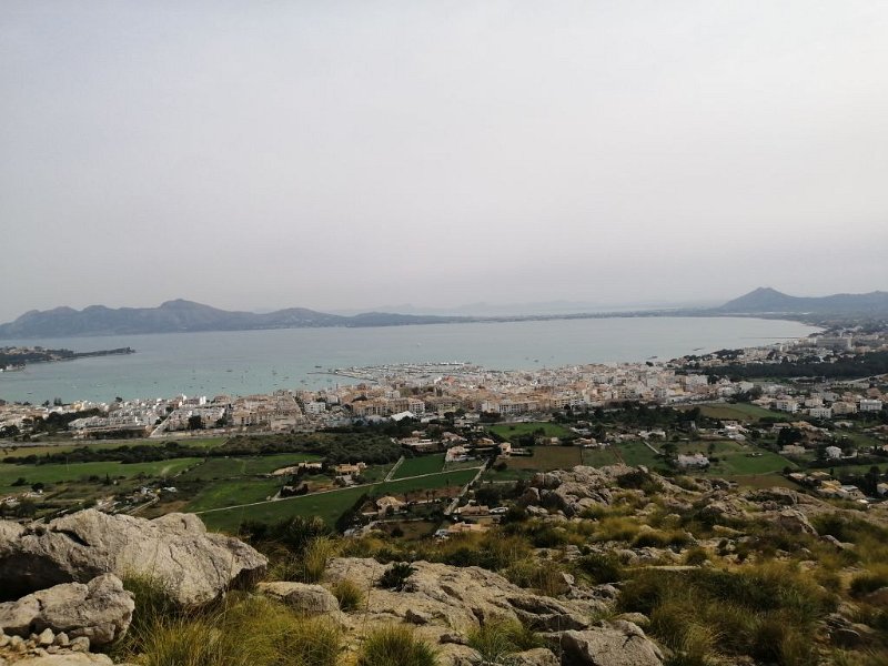 220328_Bucht_Pollenca.jpg - Mallorca-Wanderungen - 28.03.2022 Port de Pollenca (120 Hm, 5k)  Bucht von Pollenca vom Hügel