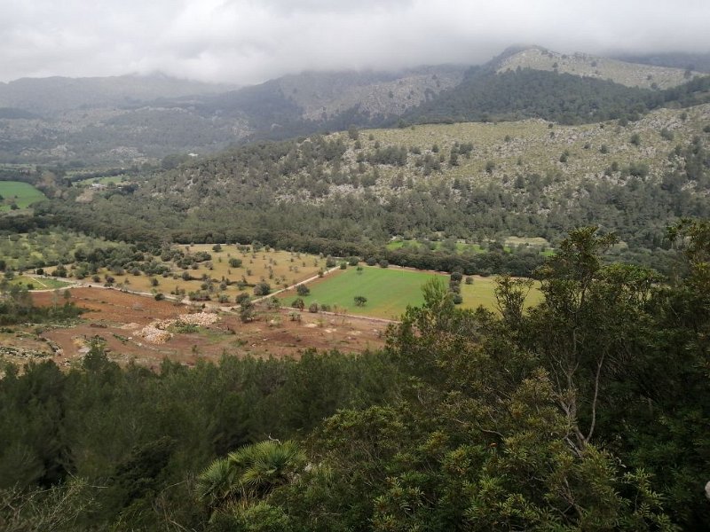 220329_March-Tal.jpg - Mallorca-Wanderungen - 29.03.2022 March-Tal (160 Hm, 13k)  March-Tal vom Aufstieg Fartaritx