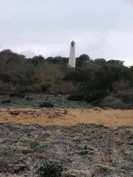 220331_Saeule2.jpg - Mallorca-Wanderungen - 31.03.2022 San Baolo (50 Hm, 16k)  2. Säule landeinwärs