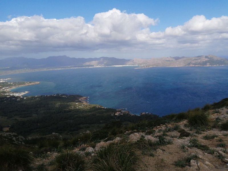 220401_Bucht_Pollenca.jpg - Mallorca-Wanderungen - 01.04.2022 La Victoria-Talaia d' Alcúdia (330 Hm, 14k)  Bucht von Pollenca