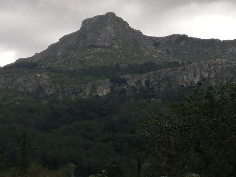 220404_Fartaritx.jpg - Mallorca-Wanderungen - 04.04.2022 Coll de Pollenca (440 Hm, 24k)  Cuculla de Fartaritx, vom Aufstieg