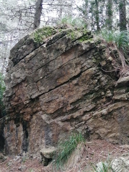 220404_Geologie.jpg - Mallorca-Wanderungen - 04.04.2022 Coll de Pollenca (440 Hm, 24k)  Geologie am Wegesrand 