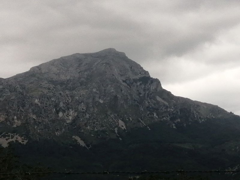 220404_Tomir.jpg - Mallorca-Wanderungen - 04.04.2022 Coll de Pollenca (440 Hm, 24k)  Tomir, vom Aufstieg