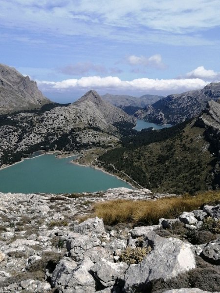 220405_Seen.jpg - Mallorca-Wanderungen - 05.04.2022 Sa Rateta, Na Franquesa (430 Hm, 20k)  beide Seen, vom Gipfel Sa Rateta