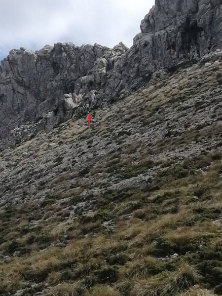 220409_zustieg.jpg - Mallorca-Wanderungen - 09.04.2022 Massanella, Abbruch (650 Hm, 24k)  Zustieg von Einheimischen