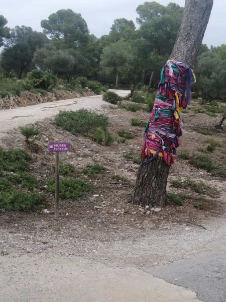 221007_Abzweig_Bassa_Blanca.jpg - Mallorca-Wanderungen Oktober 2022 - 07.10.22 - Talaia d' Alcudia   Einfahrt zum Museum in der "Bassa Blanca" 