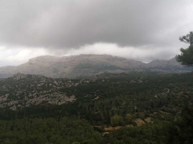 221008_Puig_Roig.jpg - Mallorca-Wanderungen Oktober 2022 - 08.10.22 - Steineiche-Son Amer-Lluc   Puig Roig (Roter Berg)