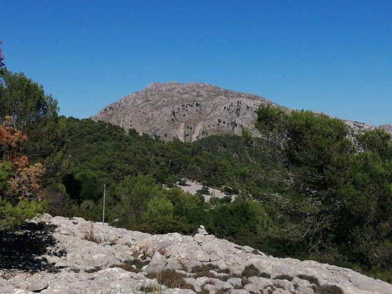221015_Tomir.jpg - Mallorca-Wanderungen Oktober 2022 - 15.10.22 - Figueroles  Tomir von Ses Covasses (23k, 10km, 500Hm) 