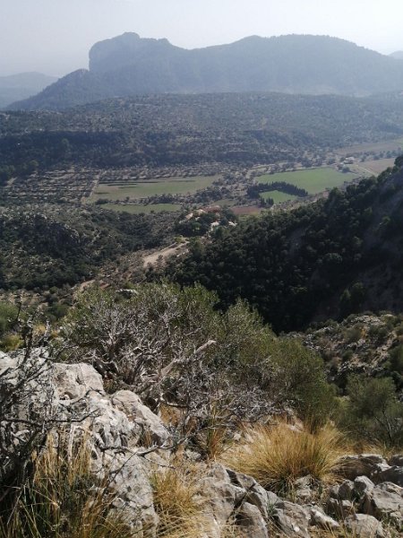 221018_Coma_Sema.jpg - Mallorca-Wanderungen Oktober 2022 - 18.10.22 - Barrancones  Coma Sema (22k, 13km, 440Hm) 