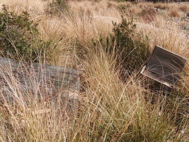 221019_Fallen.jpg - Mallorca-Wanderungen Oktober 2022 - 19.10.22 - Puig Cornavaques   Fallen 