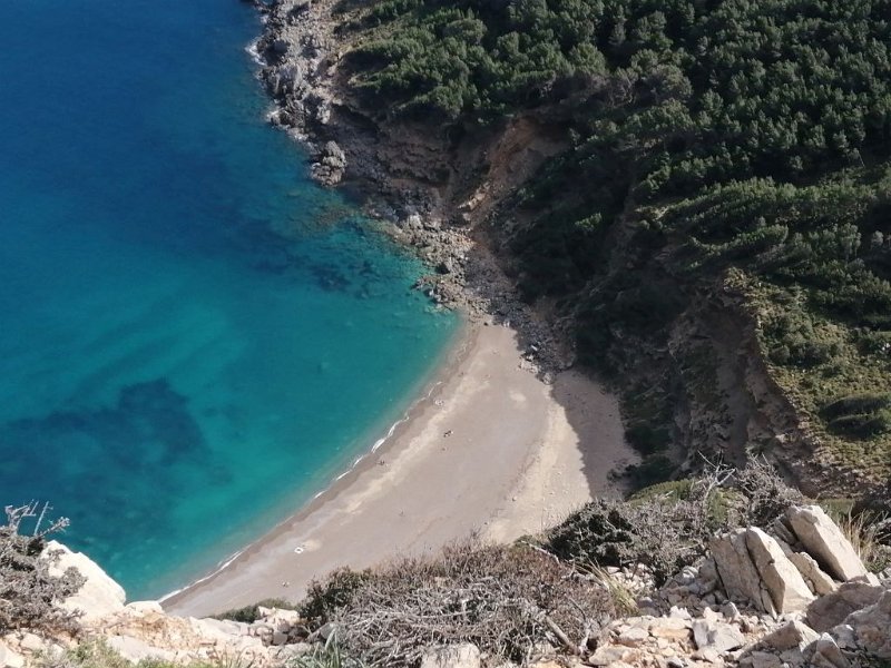 IMG-20230311-WA0002.jpeg - Mallorca-Wanderungen - 11.03.2023 Talaia d' Alcúdia  Bucht Platja de Coll Baix