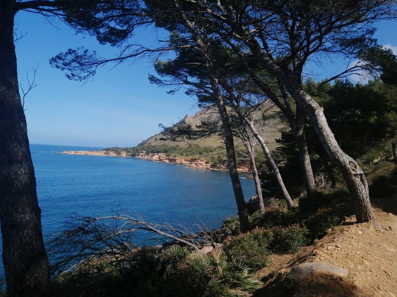 IMG-20230315-WA0002.jpeg - Mallorca-Wanderungen - 15.03.2023 Sa Talaia Morela (360 Hm, 19k)  vom Weg Richtung Cap Ferrutx 