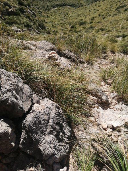 IMG-20230315-WA0006.jpeg - Mallorca-Wanderungen - 15.03.2023 Sa Talaia Morela der Abstieg sieht viel steiler aus als auf diesem Foto (laut komoot 40 %)  