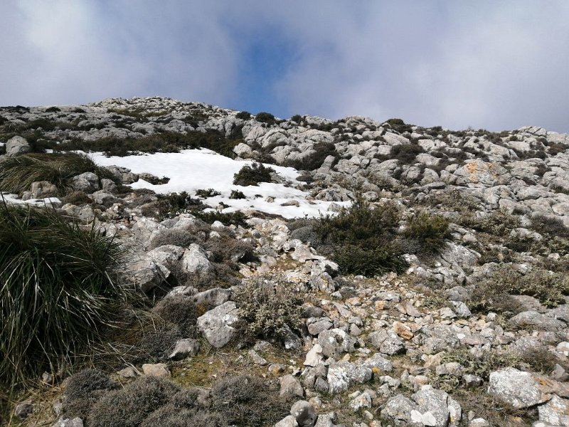 IMG-20230319-WA0003.jpeg - Mallorca-Wanderungen - 19.03.2023 Tomir mit Umrundung   Schnee auf dem Tomir