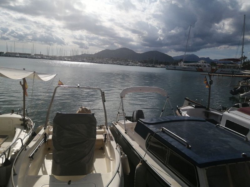 IMG-20230320-WA0002.jpeg - Mallorca-Wanderungen - 20.03.2023 Uferwanderung Alcanada (50 Hm, 16k)  Sporthafen (port esportiu) Port d' Alcúdia