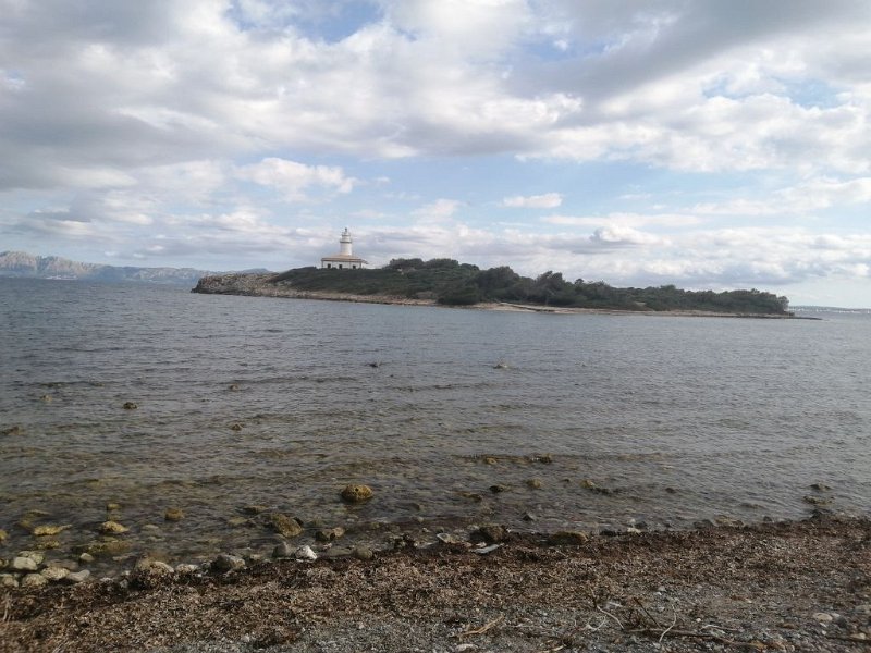 IMG-20230320-WA0004.jpeg - Mallorca-Wanderungen - 20.03.2023 Uferwanderung Alcanada   Insel Alcanada 