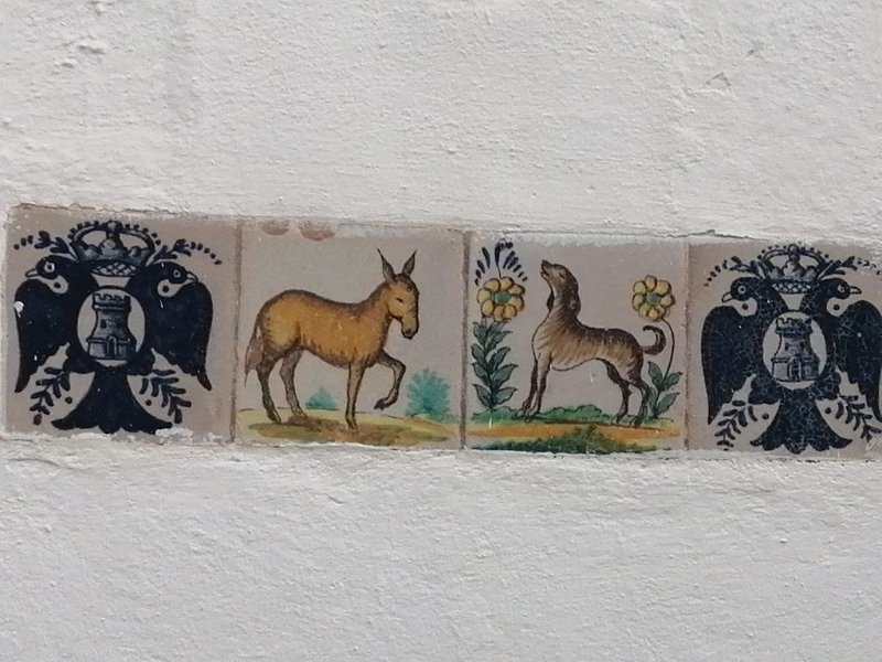 IMG-20230320-WA0015.jpeg - Mallorca-Wanderungen - 20.03.2023 Uferwanderung Alcanada  auf einer Hauswand in Alcanada