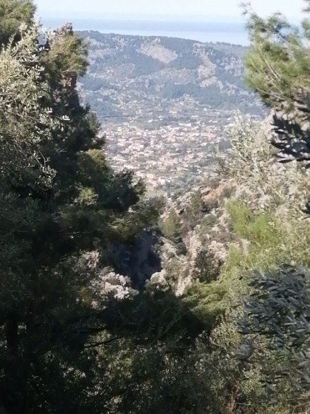 IMG-20230321-WA0002.jpeg - Mallorca-Wanderungen - 21.03.2023 Schlucht von Biniaraix  Teile von Sóller