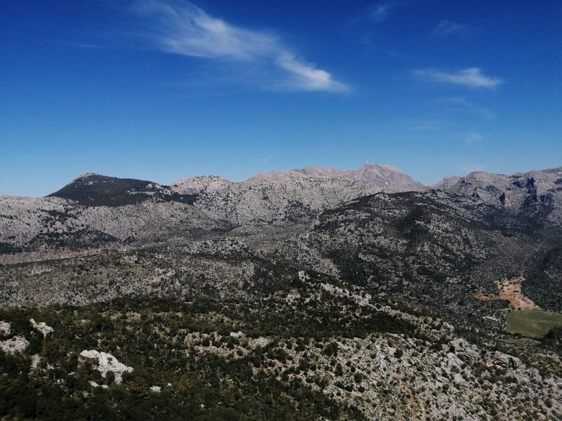 IMG-20230322-WA0000.jpeg - Mallorca-Wanderungen - 22.03.2023 Castel Alaró (440 Hm, 19k)  von der Burg die Dreigipfeltour (L' Ofre. Na Franquesa, Sa Rateta vlnr)