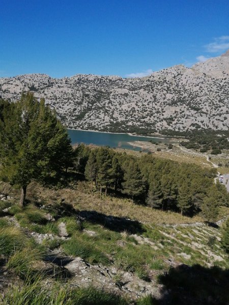 IMG-20230323-WA0000.jpeg - Mallorca-Wanderungen - 23.03.2023 Refugi Tossals Verds (440 Hm, 24k)  Stausee Cúber vom Aufstieg zum Morro de Cúber