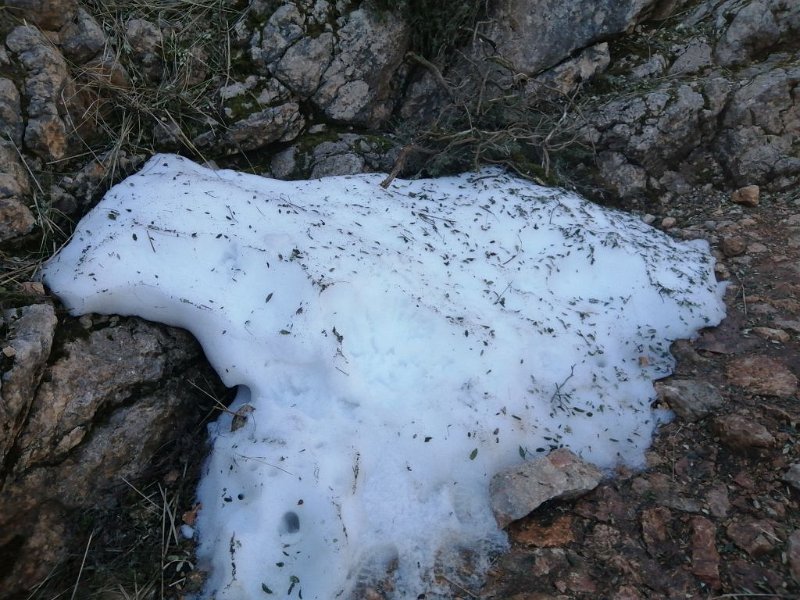 IMG-20230326-WA0000.jpeg - Mallorca-Wanderungen - 26.03.2023 Massanella (740 Hm, 23k)  Schneereste beim Aufstieg Ses Voltes d' en Galileu