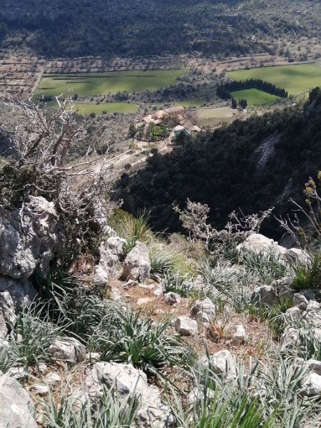 IMG-20230327-WA0000.jpeg - Mallorca-Wanderungen - 27.03.2023 Barancones (440 Hm, 23k)  Finca Coma Sema