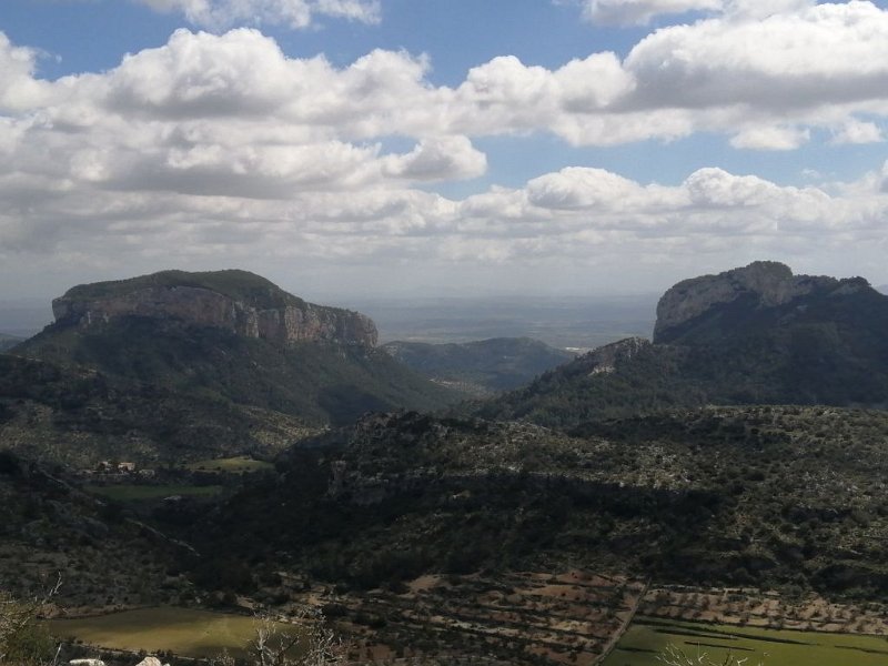 IMG-20230327-WA0002.jpeg - Mallorca-Wanderungen - 27.03.2023 Barancones (440 Hm, 23k)  links ein Tafelberg, rechts der Berg mit dem Castel Alaró