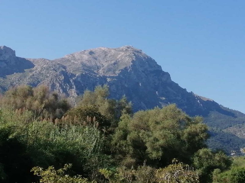 231006_Tomir.jpg - Mallorca-Wanderungen Oktober 2023 - 06.10.23 - March-Binifaldo (550 Hm, 26k)  Tomir (Legende: 550 Höhenmeter, 26.000 Schritte)